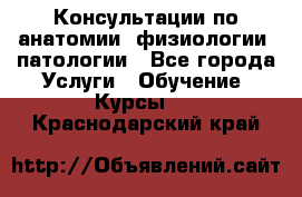 Консультации по анатомии, физиологии, патологии - Все города Услуги » Обучение. Курсы   . Краснодарский край